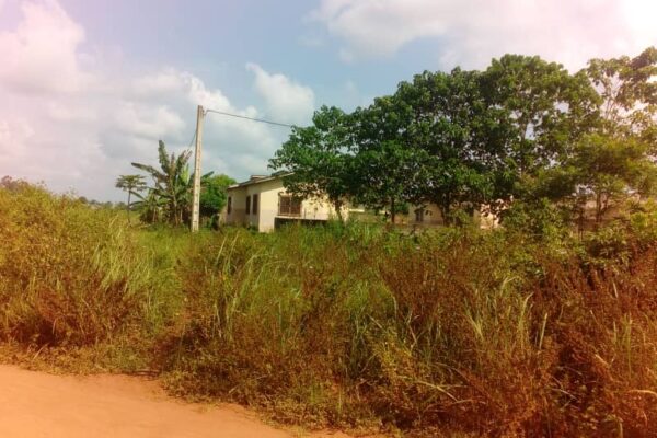 Terrain viabilisé à OUEDO au Bénin