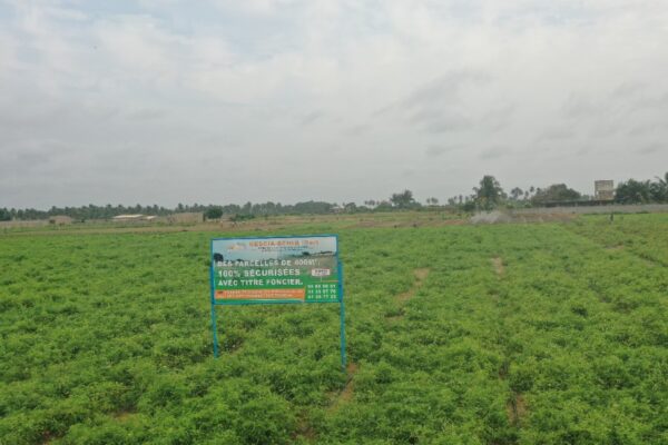 Parcelle constructible avec titre foncier au Bénin à GRAND-POPO