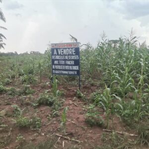 Terrain de 350 m2 Zinvié Yohoun